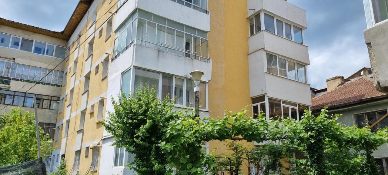 Yla Apartments Piatra Neamţ Exteriör bild