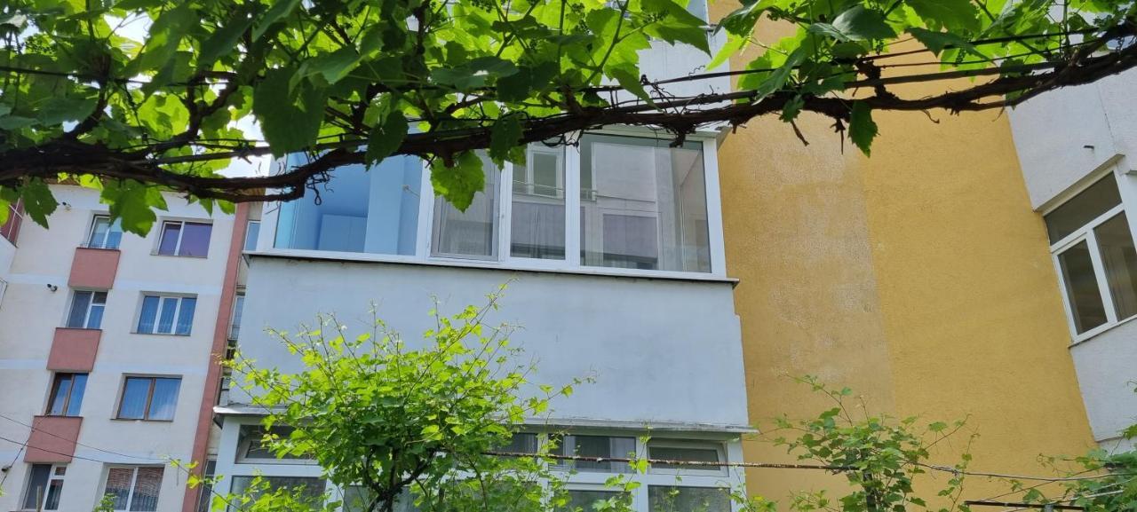Yla Apartments Piatra Neamţ Exteriör bild